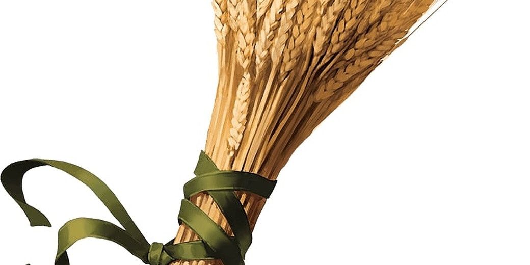 A bushel of wheat tied together with green cloth.