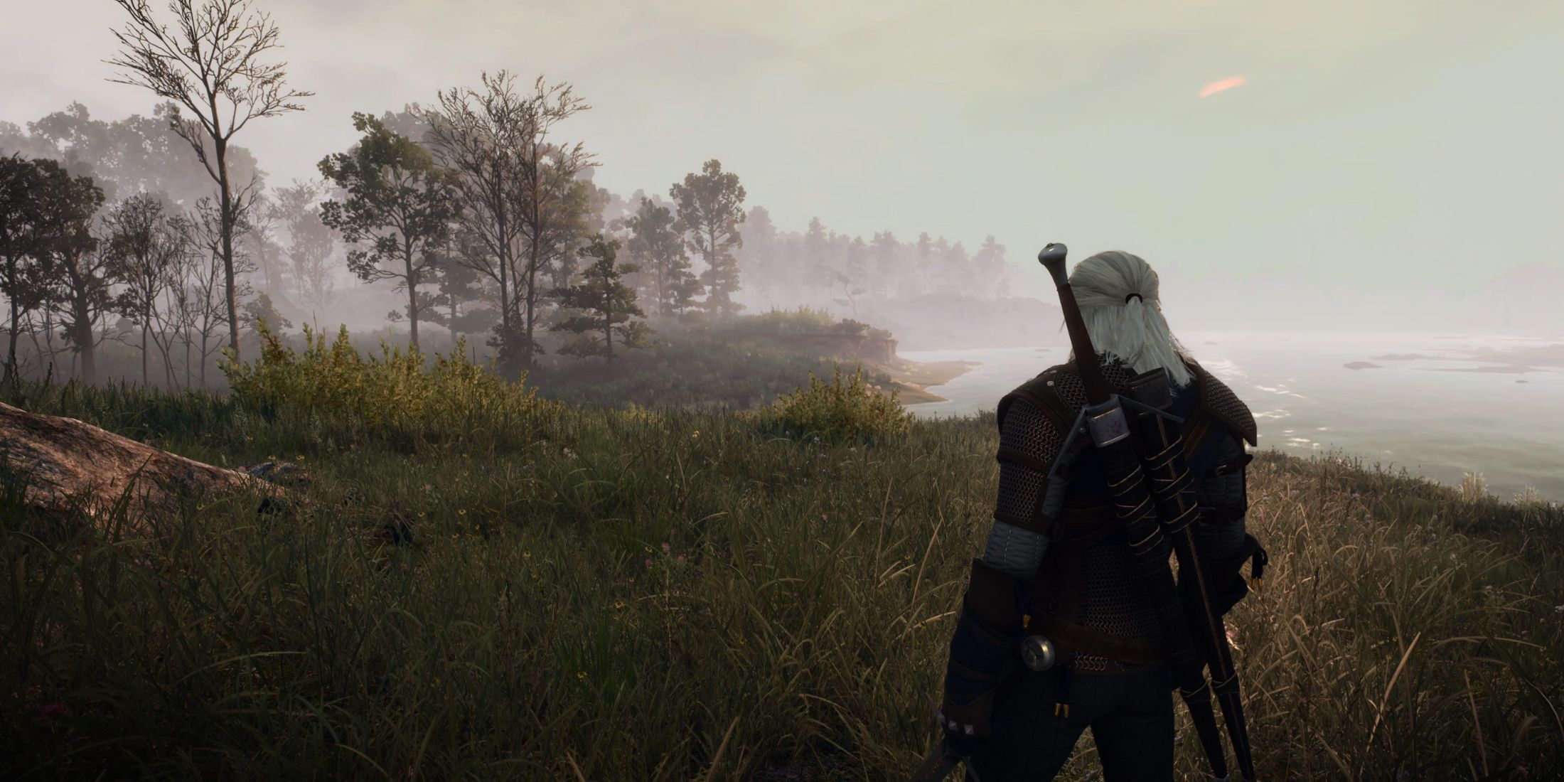 Witcher 3 Close Camera Distance