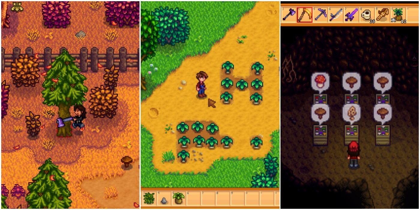 stardew-foraging-tips