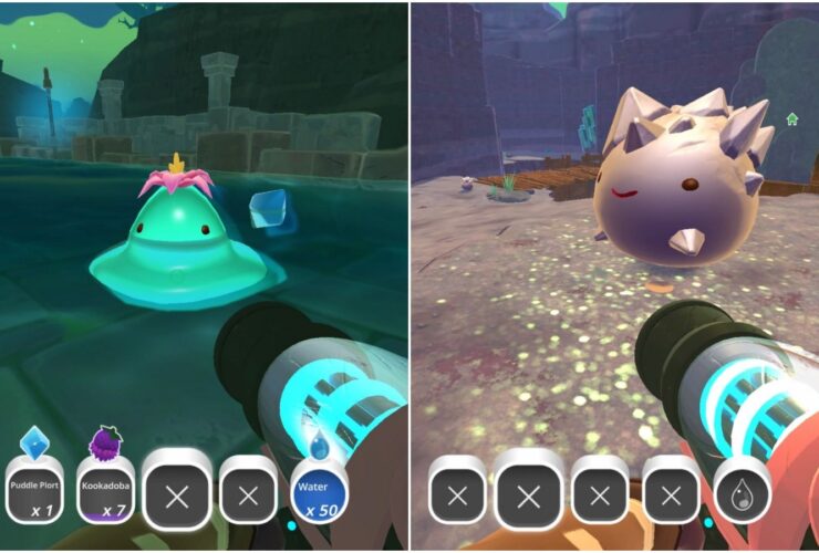 Where To Find Every Slime In Slime Rancher