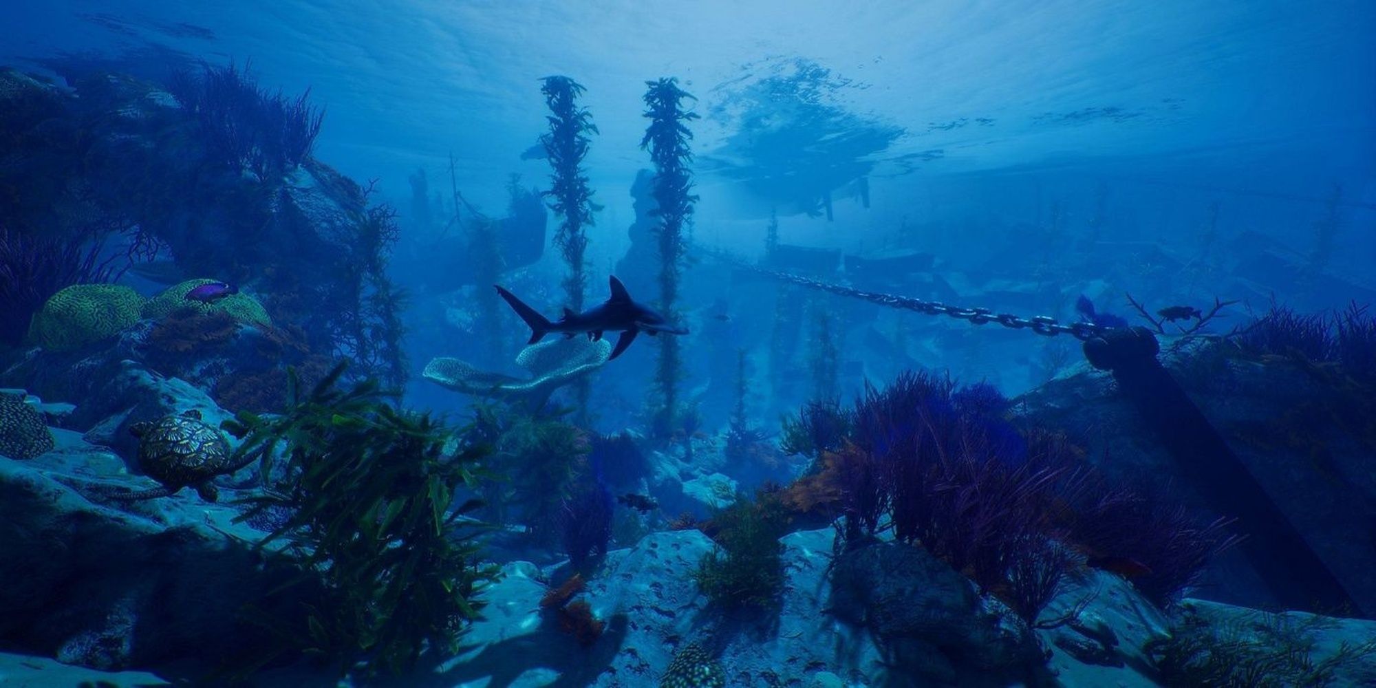 Maneater screenshot of the Shark Cruising In An Underwater Location