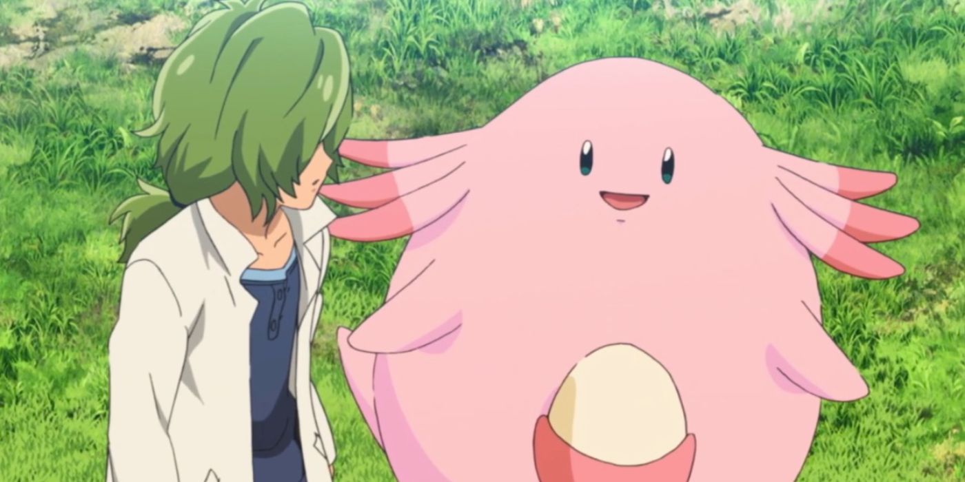 Pokemon Chansey and Toren