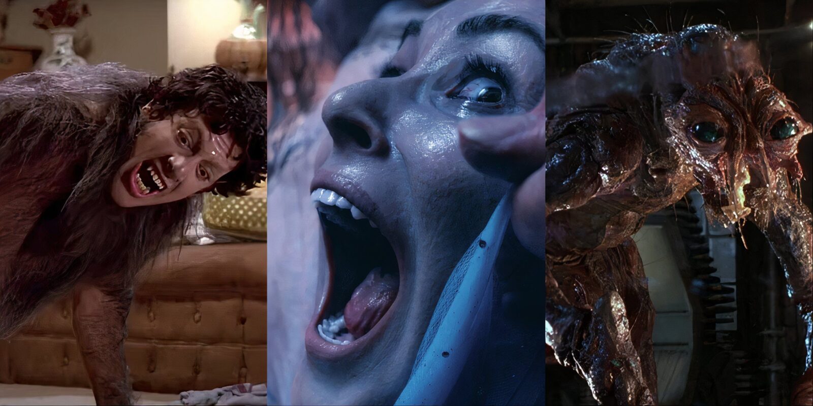 The Best Transformation Horror Movies