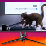 Asus ROG just teased a new 27-inch 4K OLED gaming monitor, with a cat