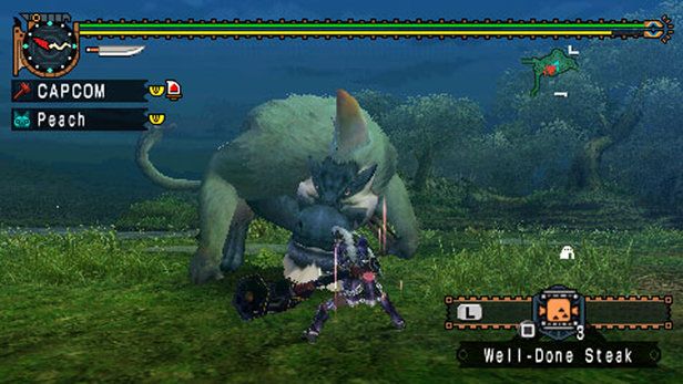 Attack a monster solo with a palico in Monster Hunter Freedom Unite and using a big hammer