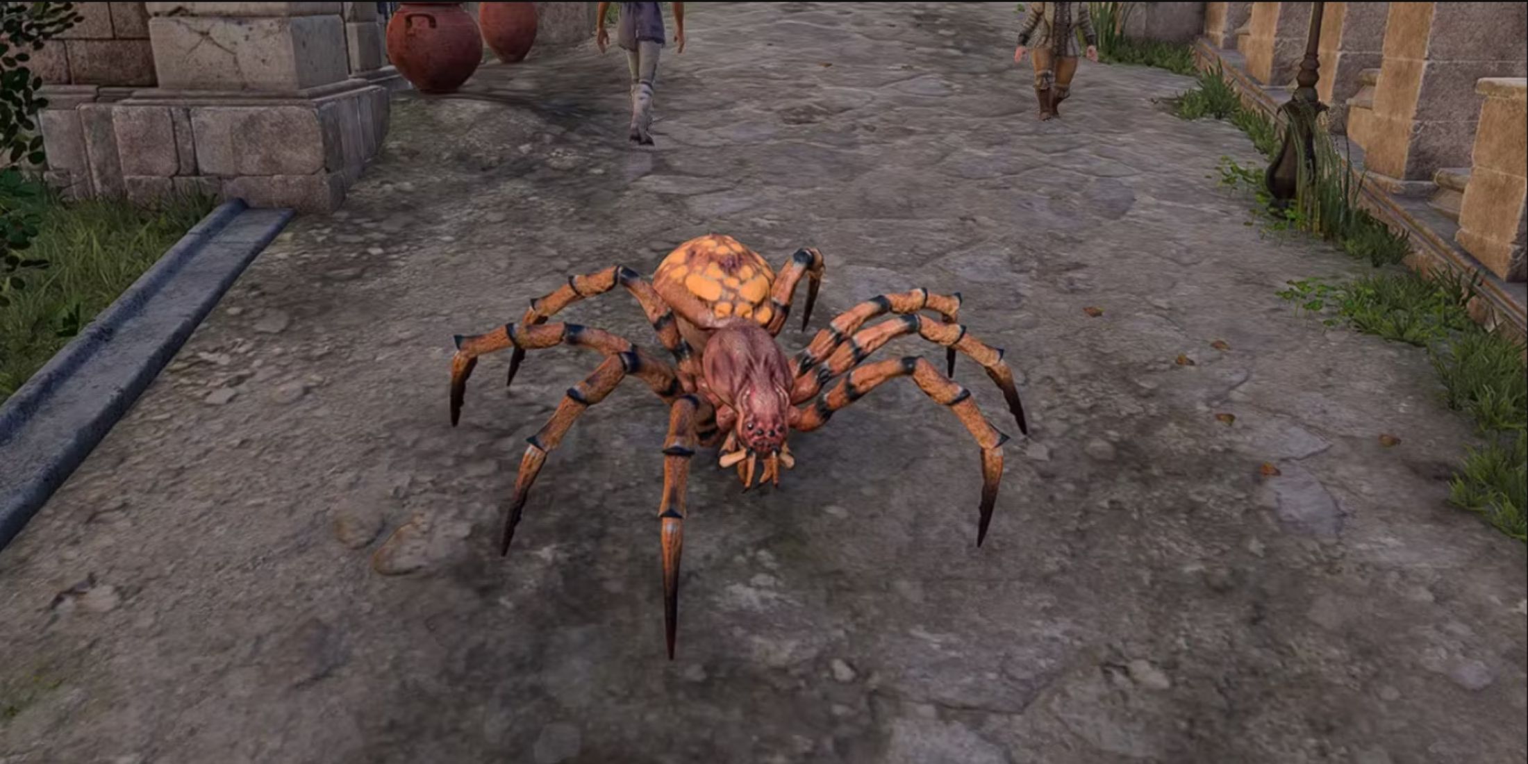 baldur's gate 3 spider wild shape