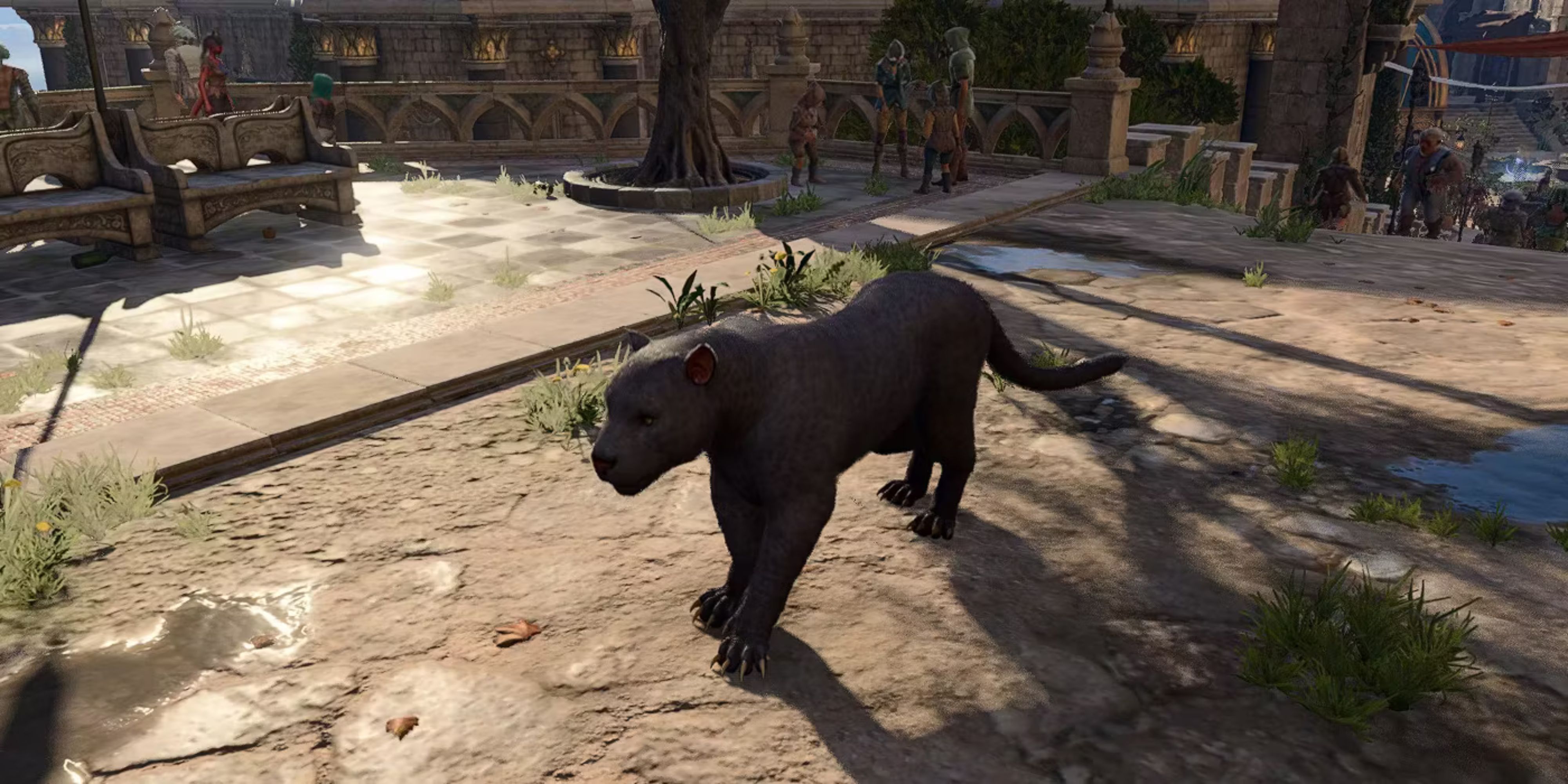 Panther in Baldurs Gate 3