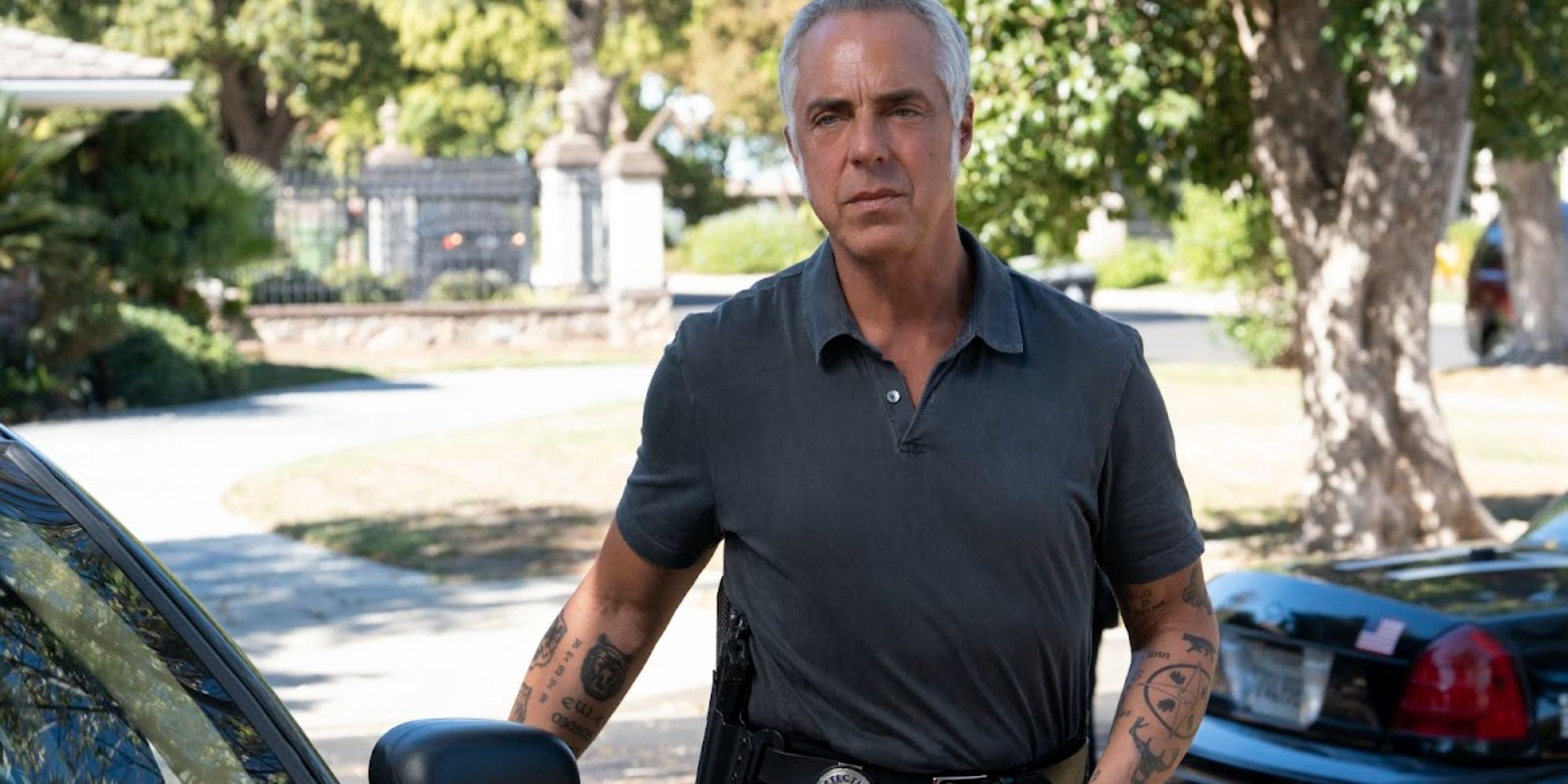 Harry bosch