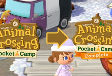 Pocket Camp to the Complete Version