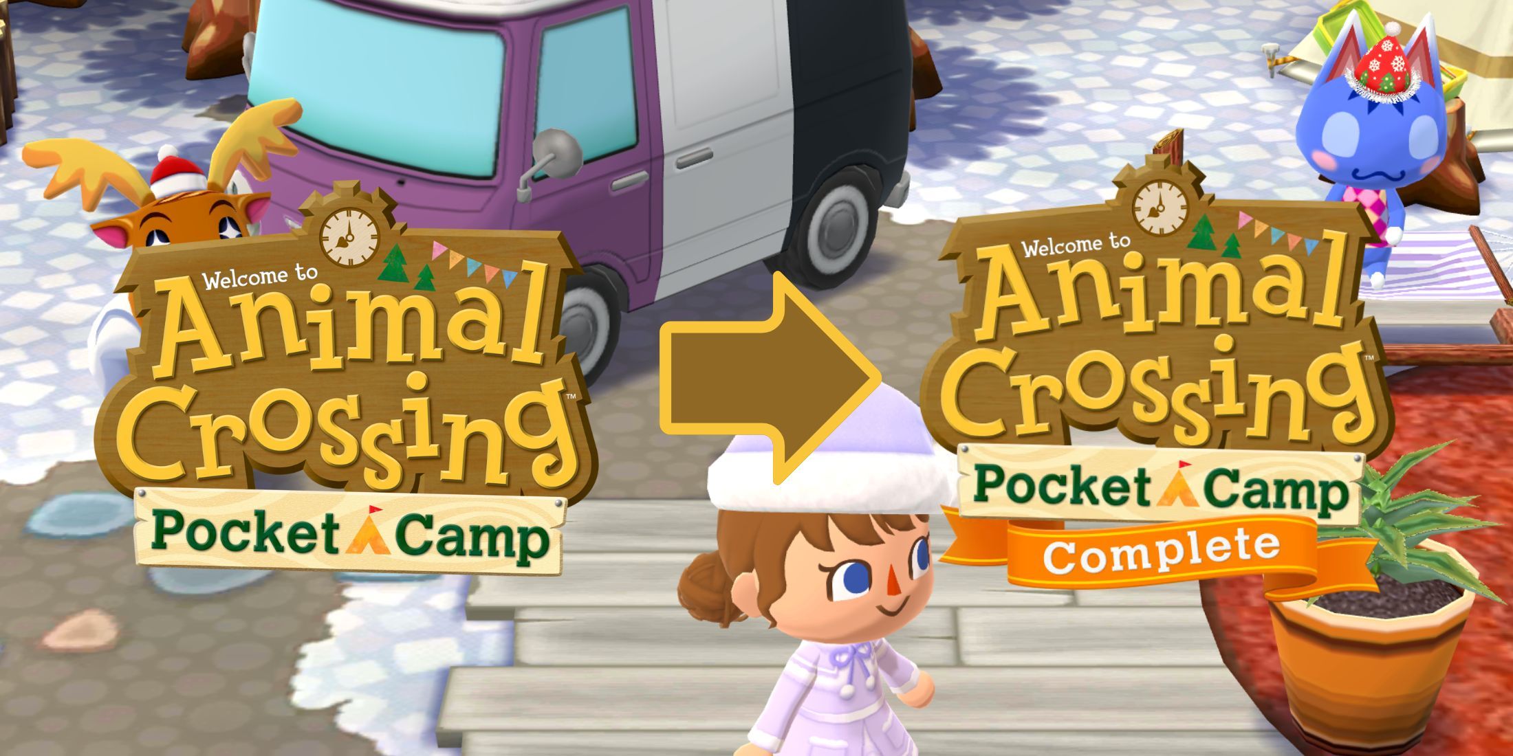 animal-crossing-pocket-camp-complete-transfer-data