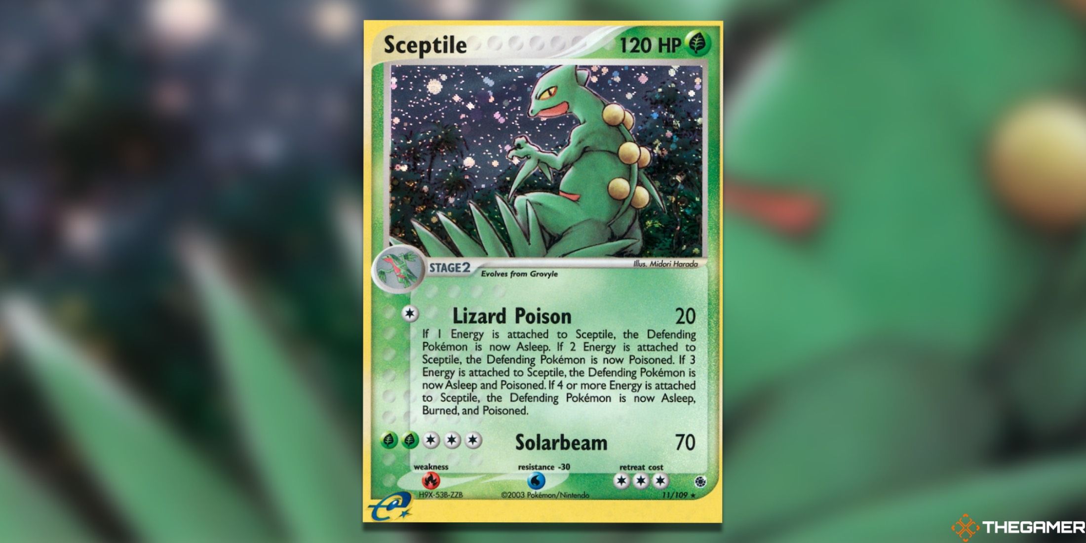 The Ruby & Sapphire Sceptile from the Pokemon TCG.