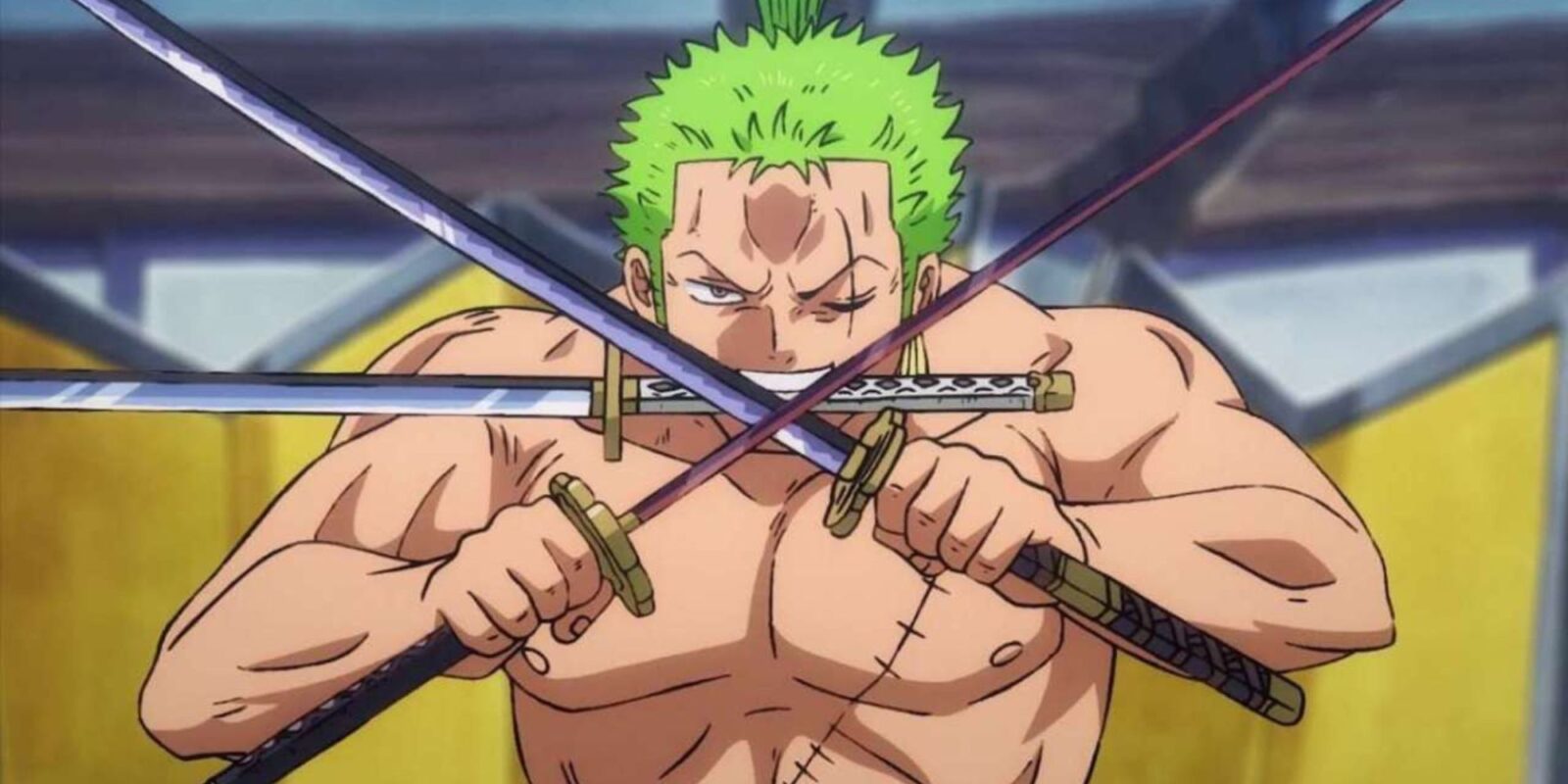 One Piece: Zoro's 103 Mercies