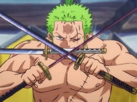 One Piece: Zoro's 103 Mercies