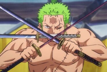 One Piece: Zoro's 103 Mercies