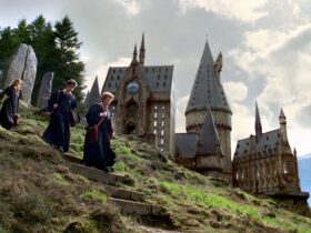 HBO's Harry Potter Needs To Explore The Wizarding World Outside Hogwarts