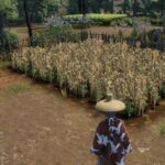 The Best Crops To Grow In Sengoku Dynasty