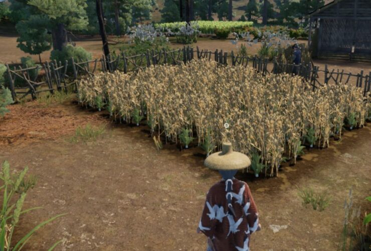 The Best Crops To Grow In Sengoku Dynasty