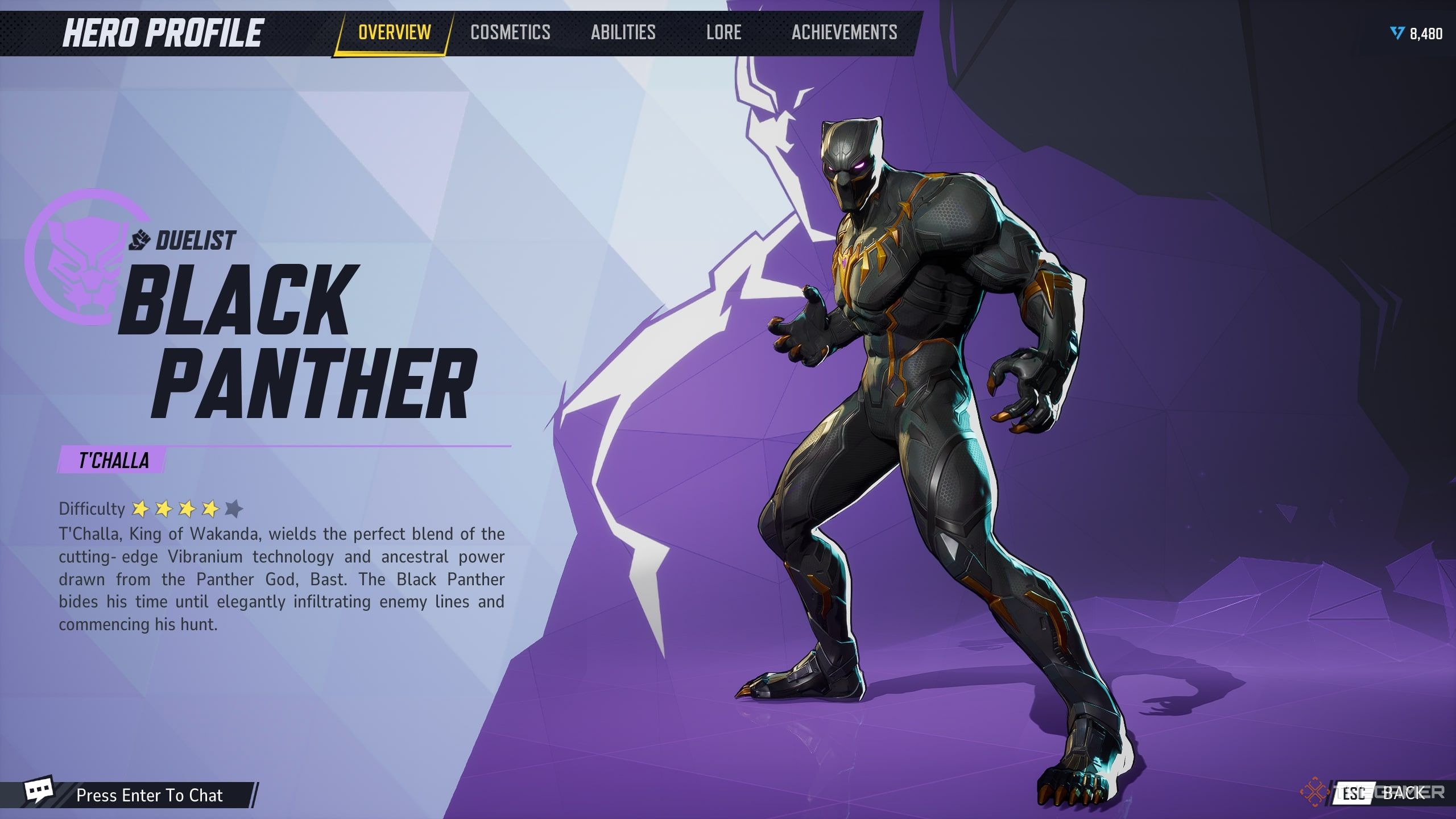 Black Panther's Hero Screen in Marvel Rivals.