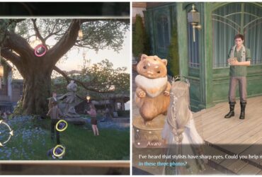 Shirtcat and Ambird Locations in Infinity Nikki (Animal Trail)