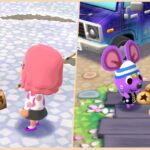 How to Get Gifts in Animal Crossing: Pocket Camp Complete