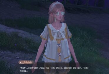 Home-Tagged Clothes in Infinity Nikki (Kindled Inspiration: Goodnight Signal)