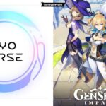 HoYoverse Genshin Impact, HoYoverse cheat developer