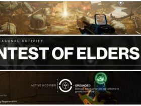 Contest Of Elders Tips For Destiny 2