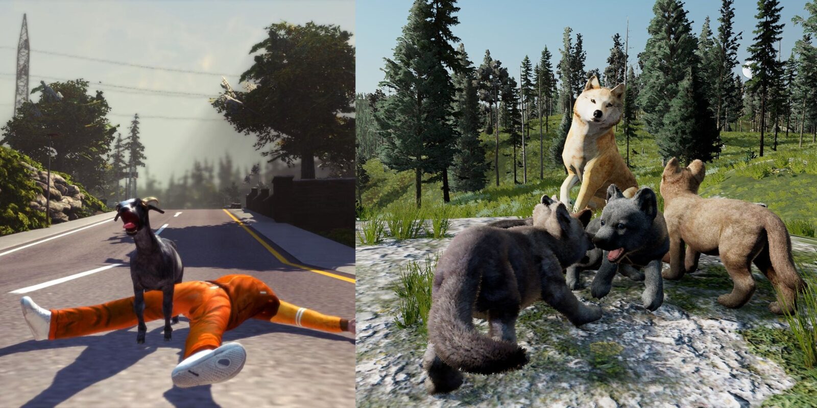 Simulator Games Where You Are An Animal