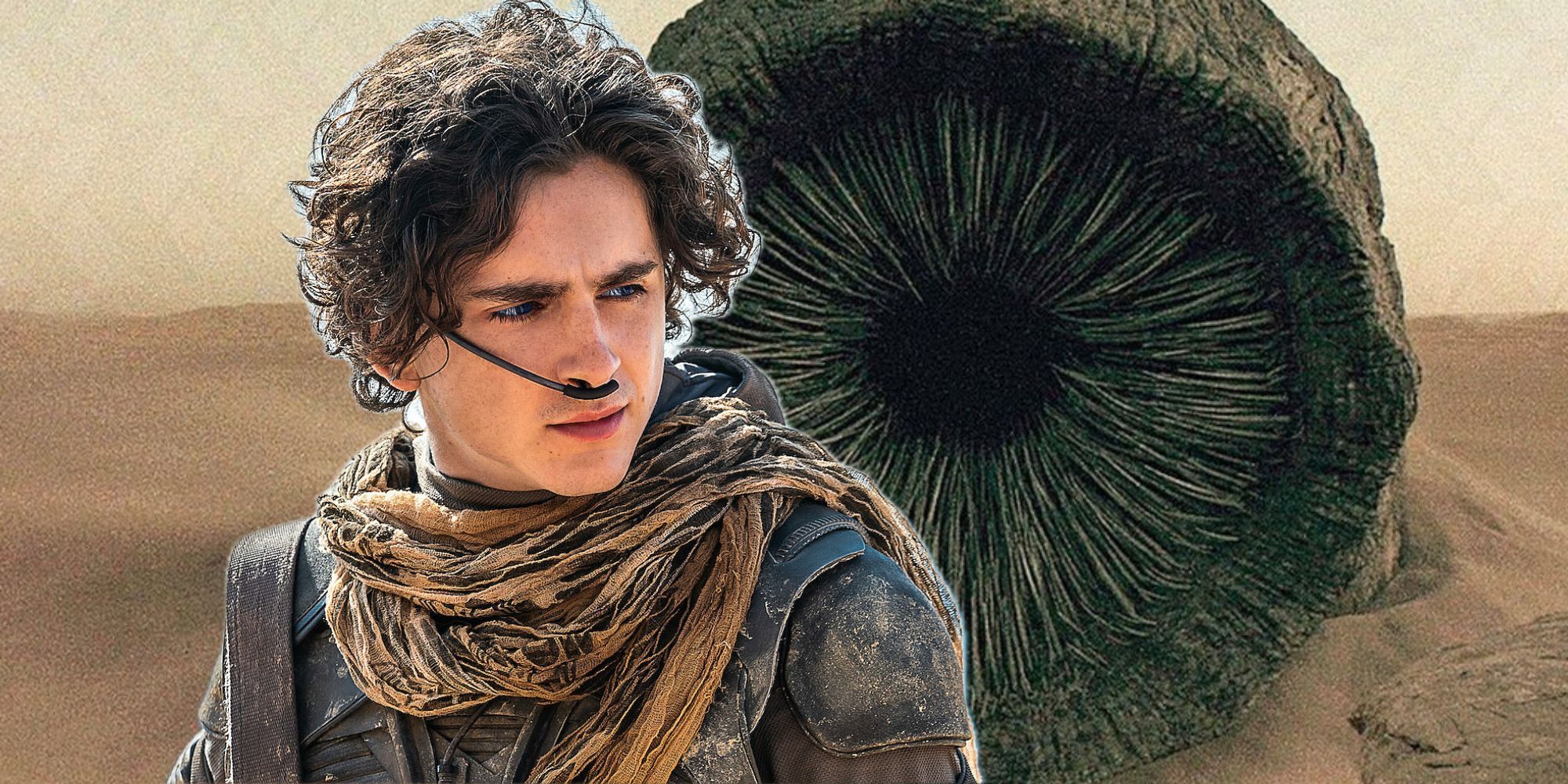 Paul Atreides Dune Part Two