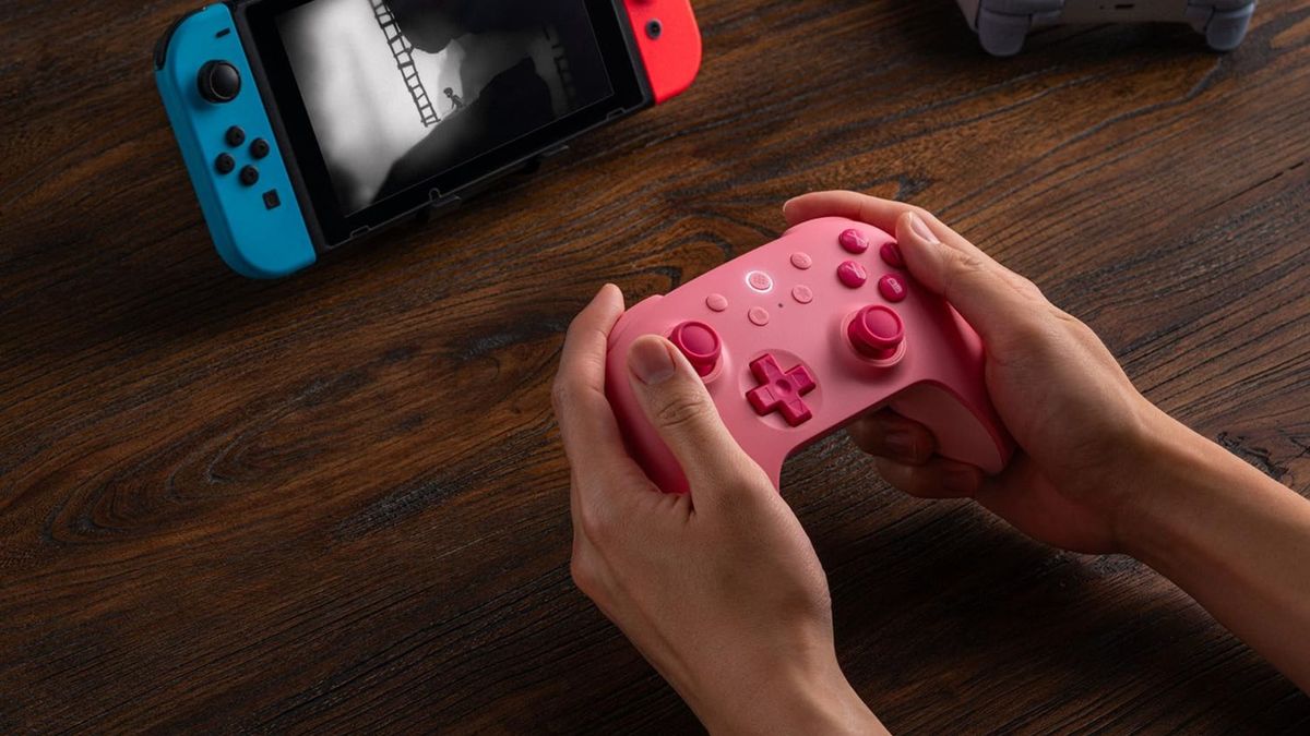 8BitDo's latest Switch controller is perfect for a very specific type of player