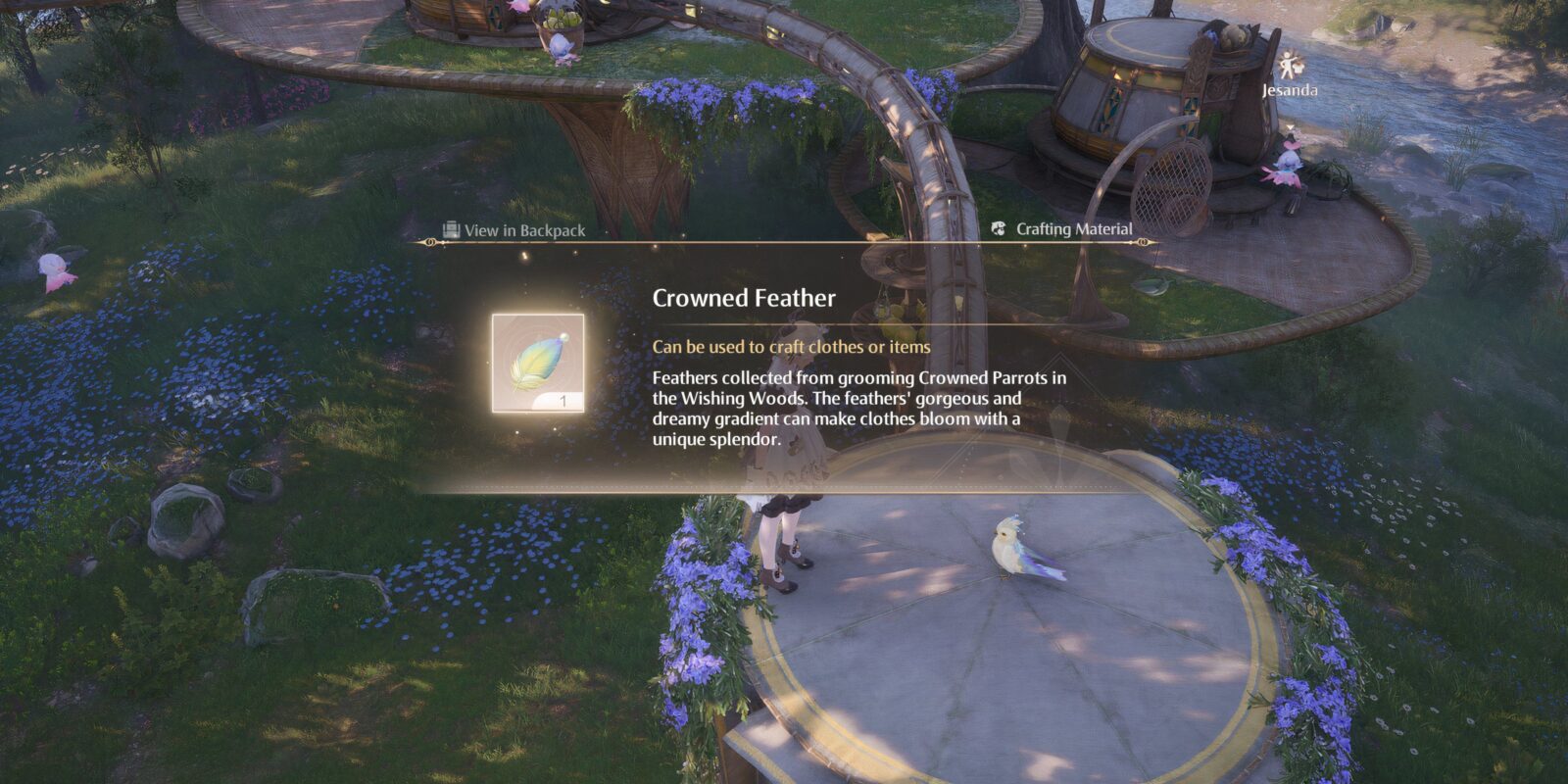 How to Get Crowned Feathers