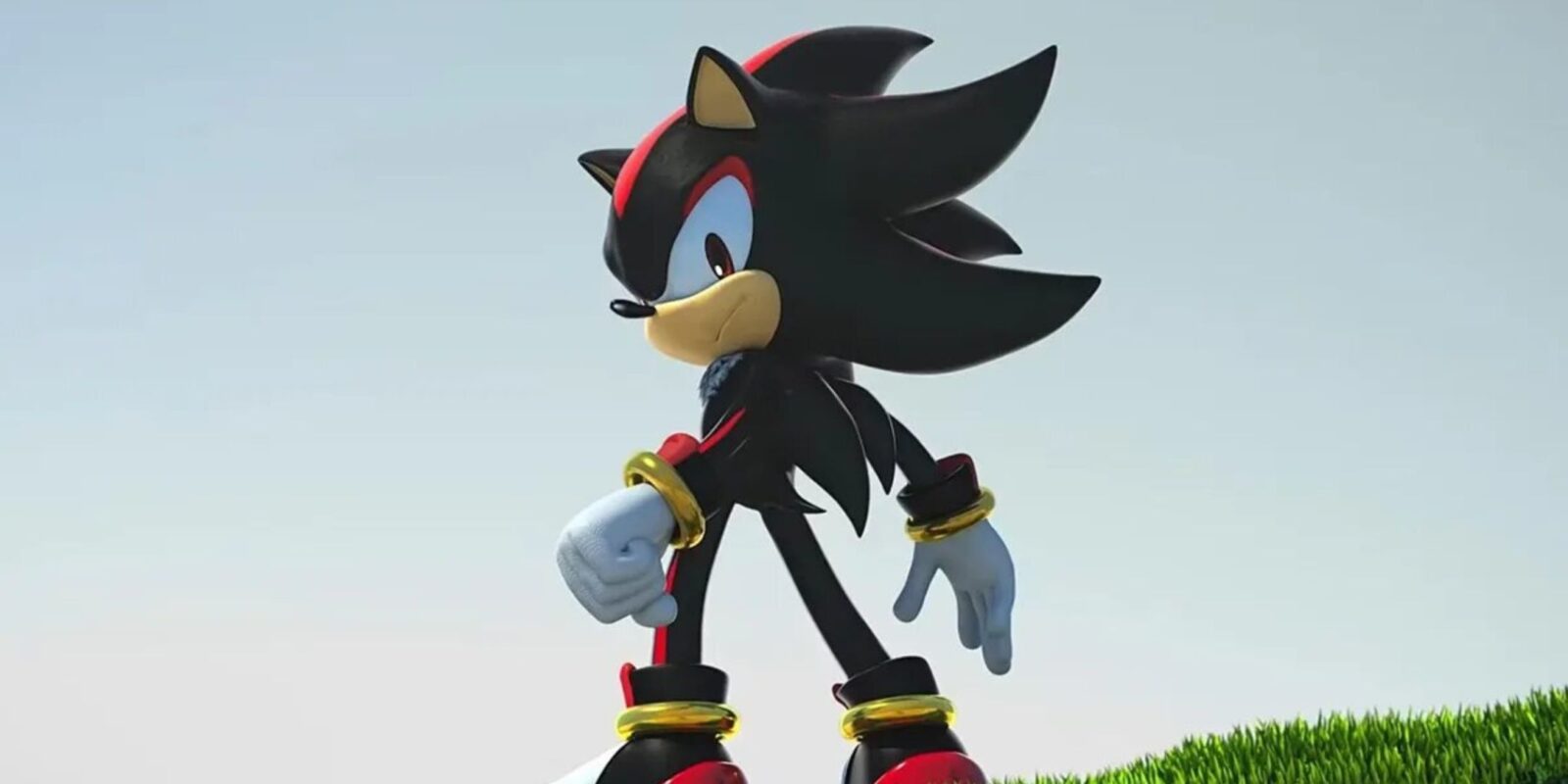 Sonic Fans Discuss Whether The Year Of Shadow Was A Success