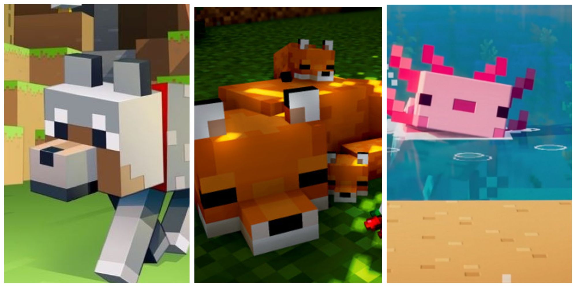 minecraft wolf, fox and axolotl