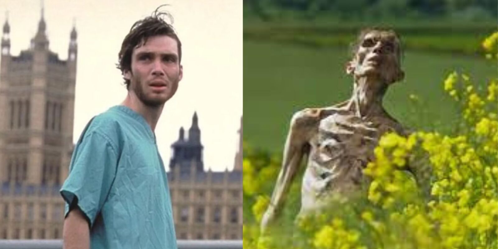 28 Years Later Crew Member Potentially Debunks Cillian Murphy’s Zombie Return