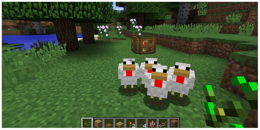 a group of chickens in Minecraft