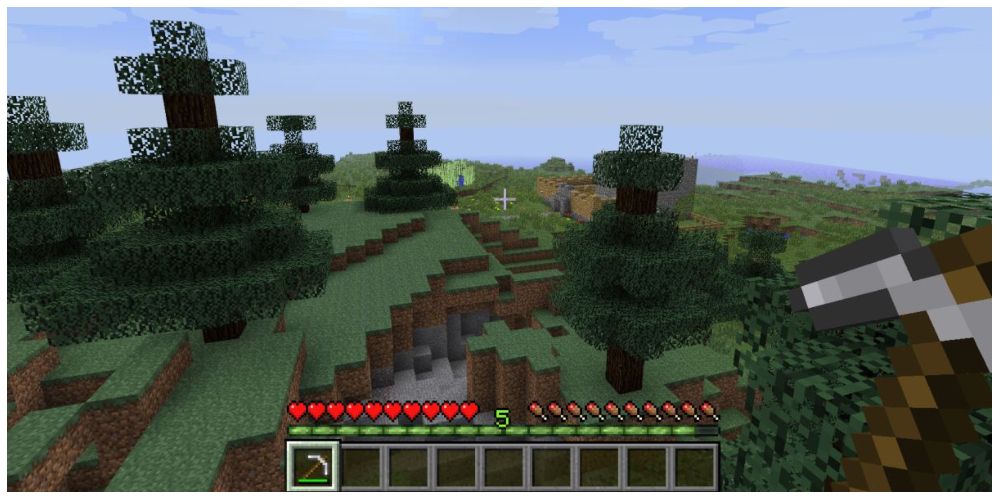 one biome in Minecraft