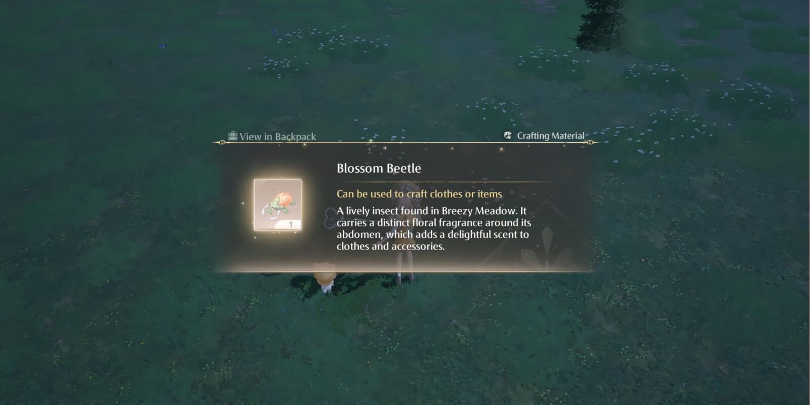 How to Get Blossom Beetles in Infinity Nikki