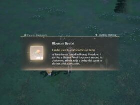 How to Get Blossom Beetles in Infinity Nikki