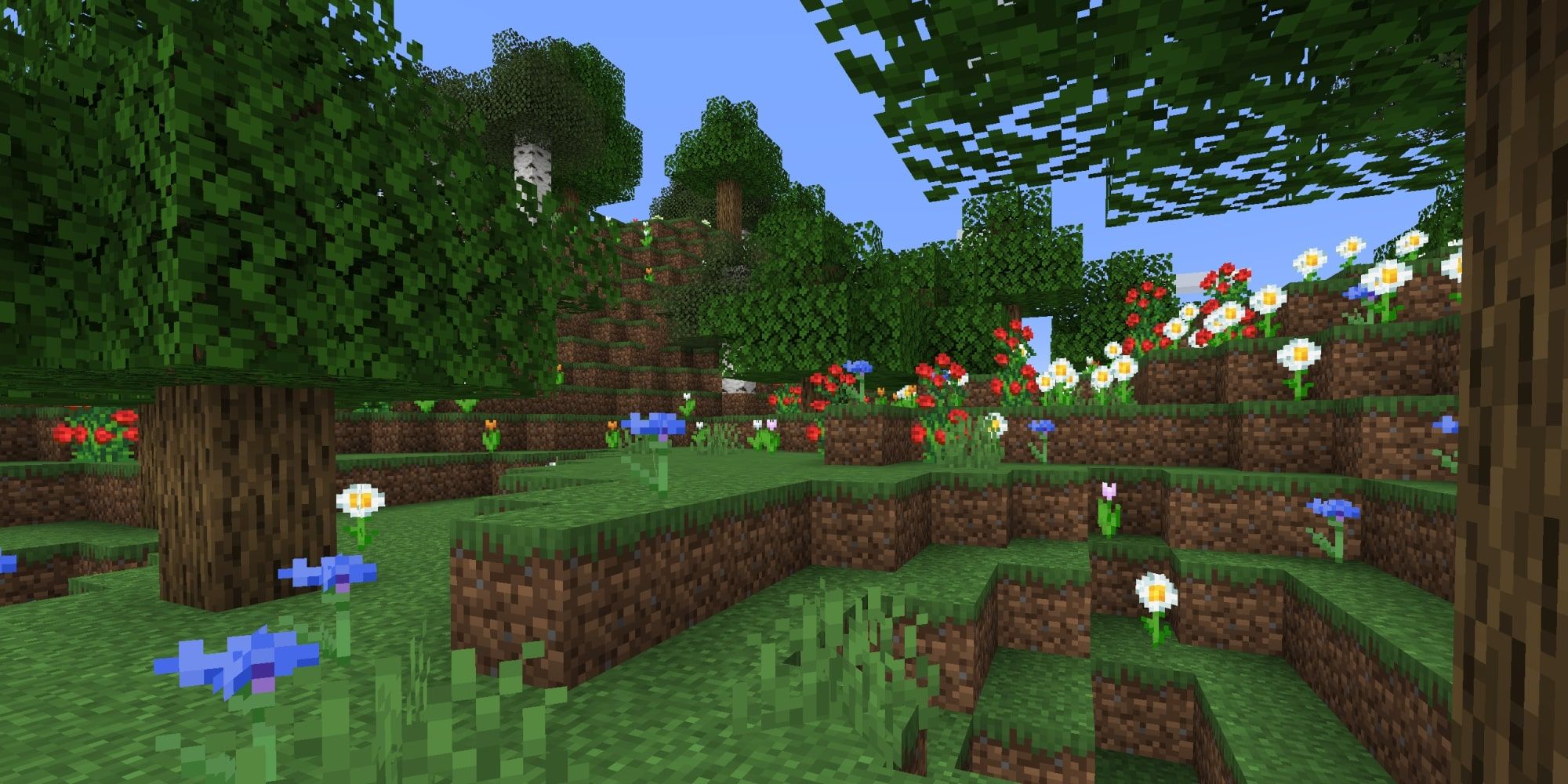 A Flower Forest Biome.