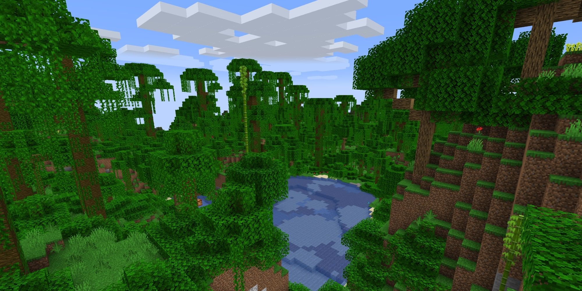 A Minecraft Jungle Biome.