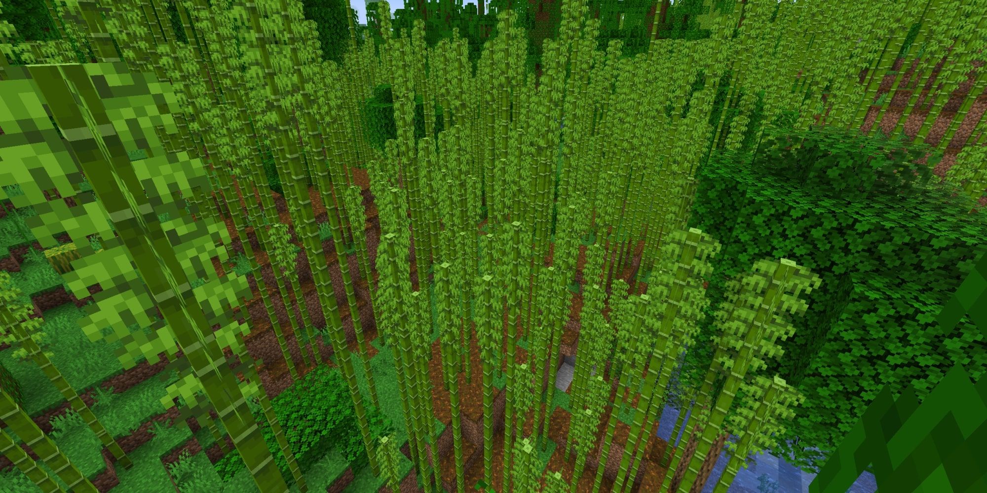 A Bamboo Jungle Biome.