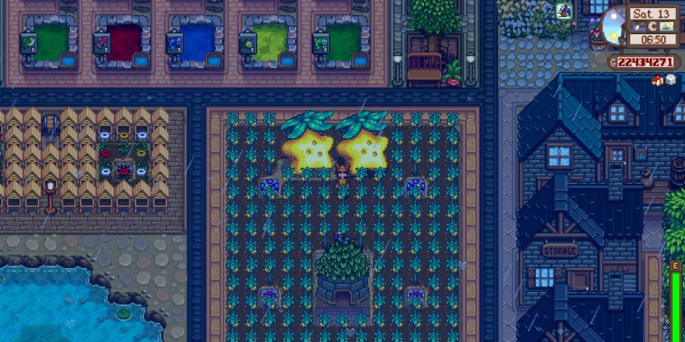 Stardew Valley Starfruit Farm