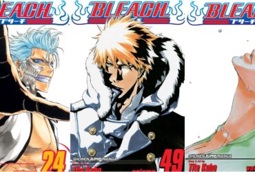 Bleach: The Best Manga Covers