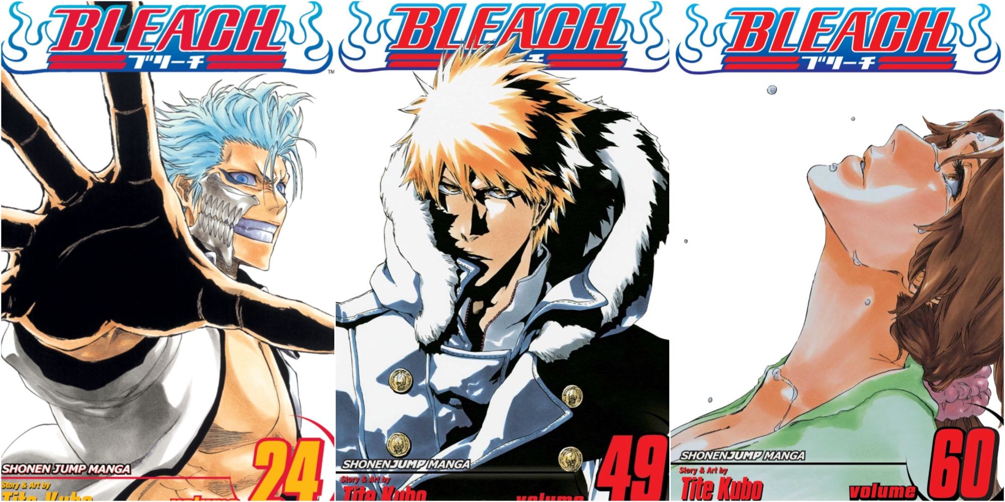 Bleach volume covers 