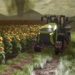 Farming Simulator 25: How to Roll Fields