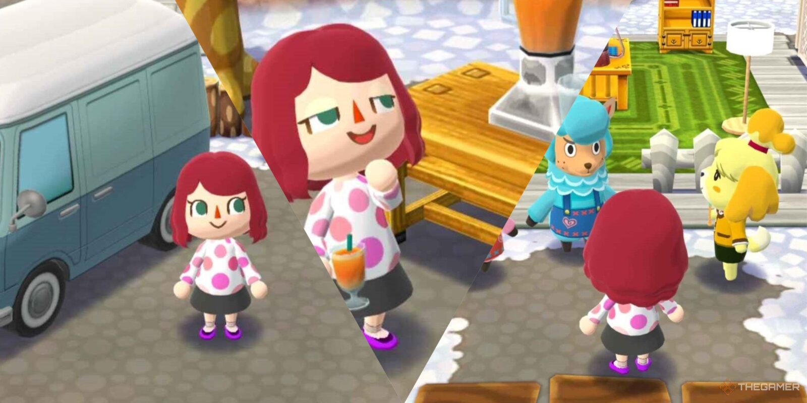 Pocket Camp Complete Worth Buying?