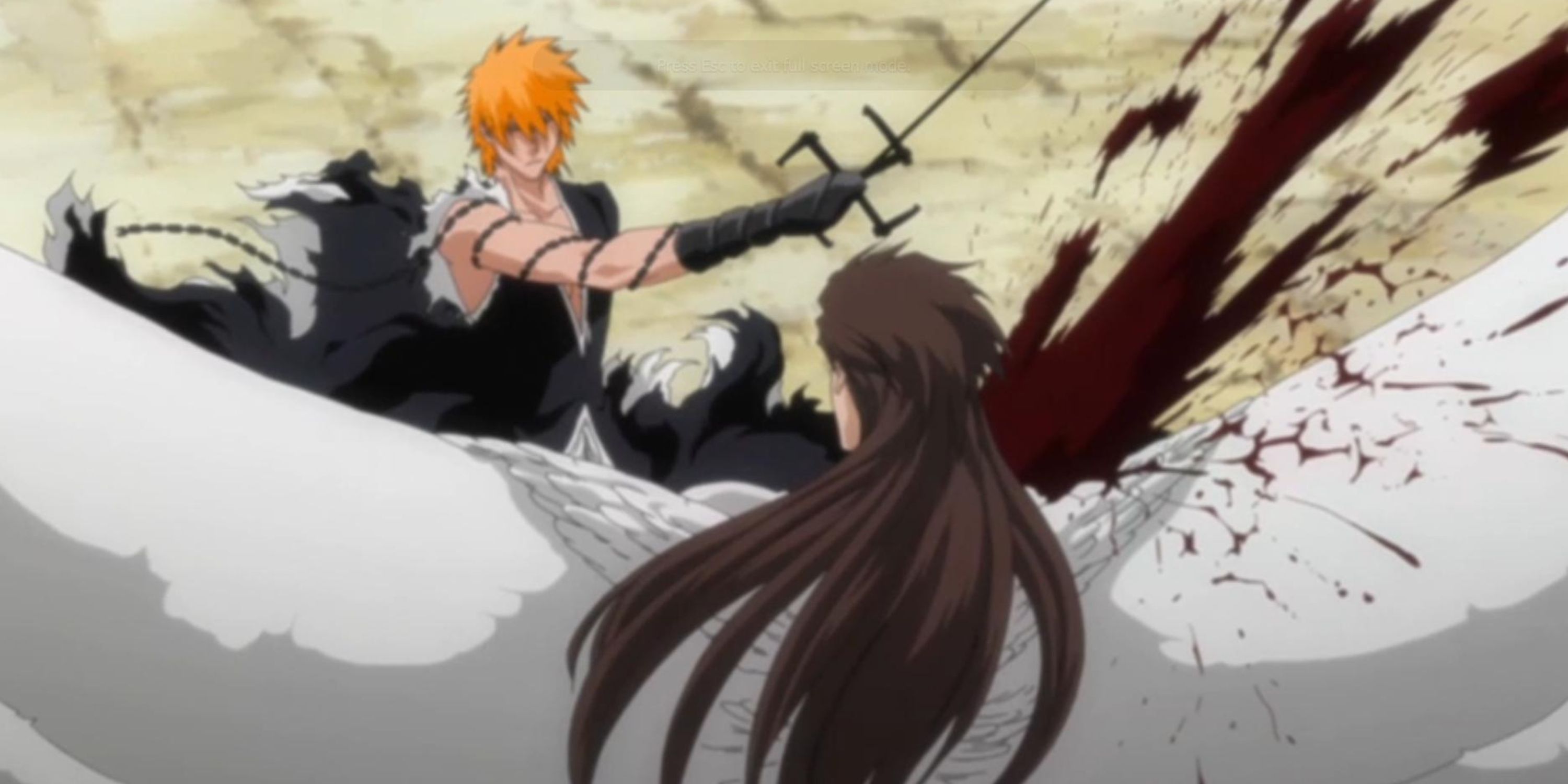 Ichigo fighting Aizen in Bleach