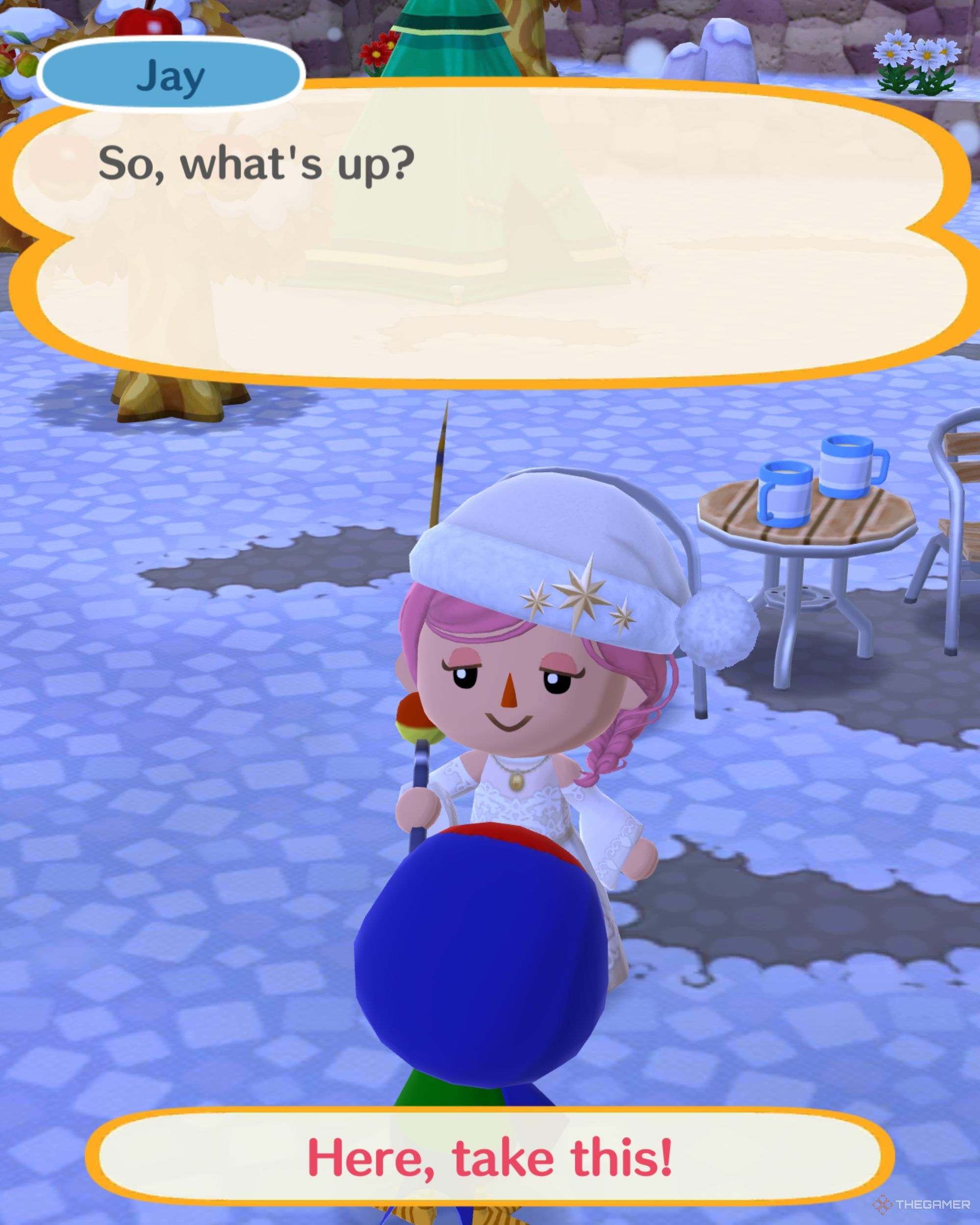 A character in Animal Crossing: Pocket Camp Complete talking to Jay.