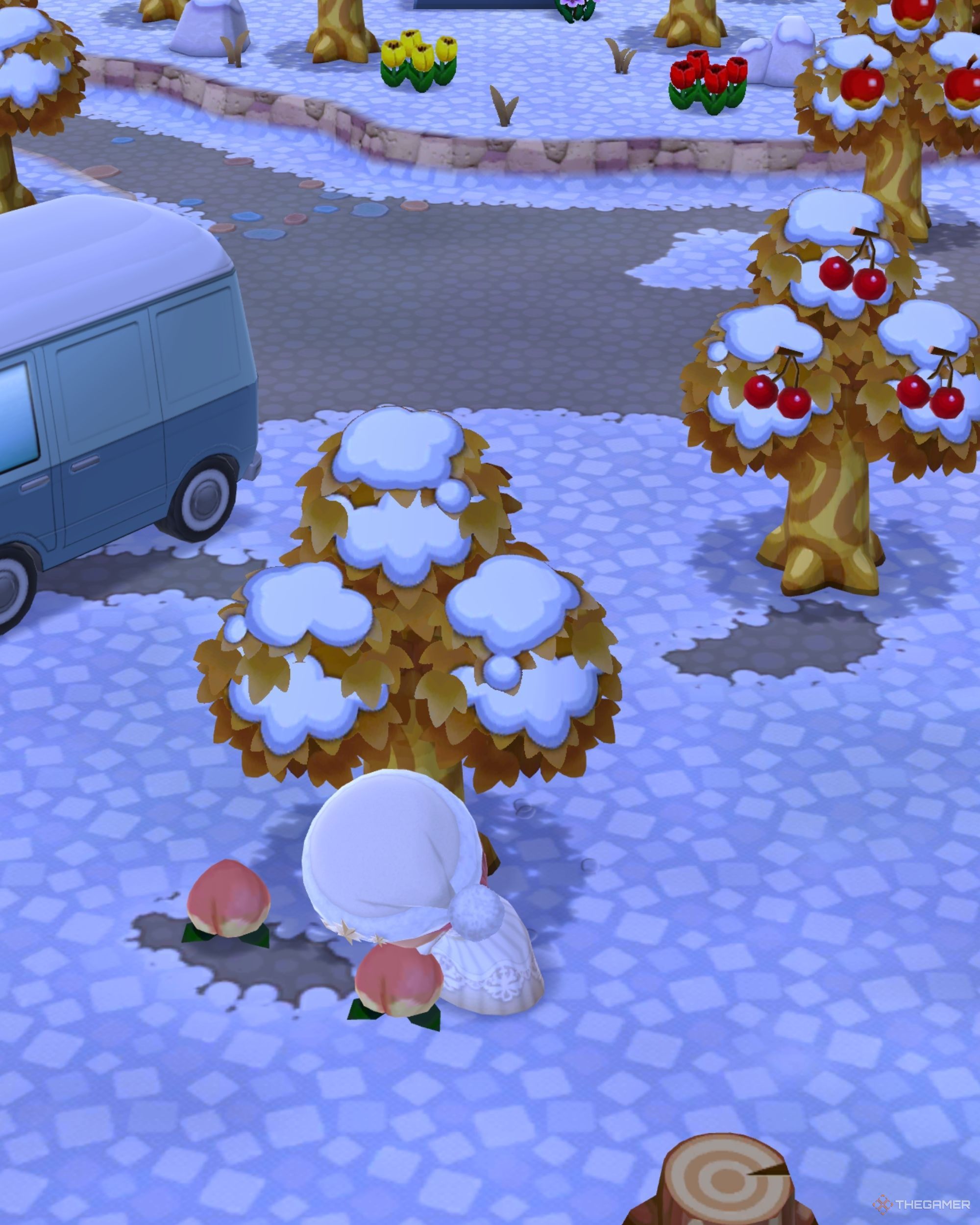 A character in Animal Crossing: Pocket Camp Complete shaking a fruit tree.