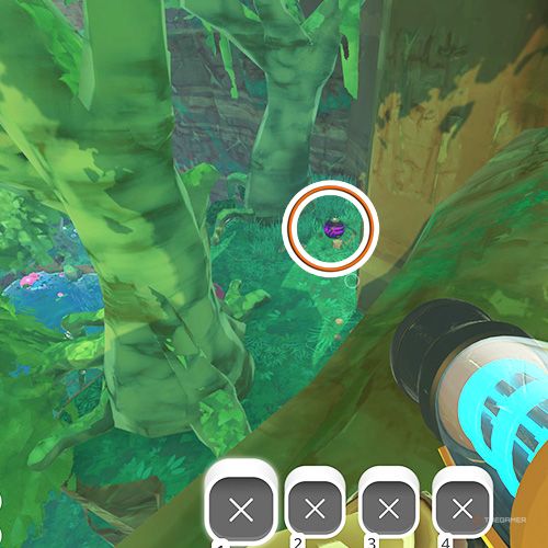 The player is looking at the  treasure pod no 11 at the Moss Blanket in Slime Rancher